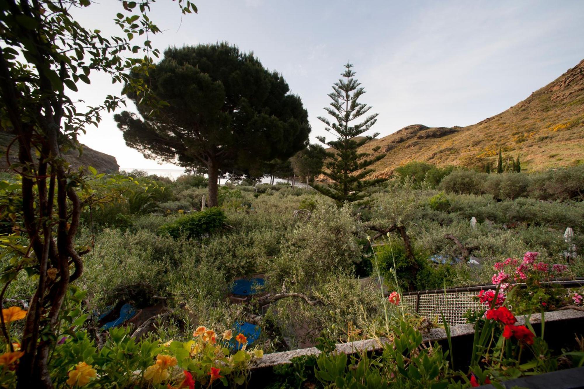 Hotel Cala Joncols ロザス エクステリア 写真