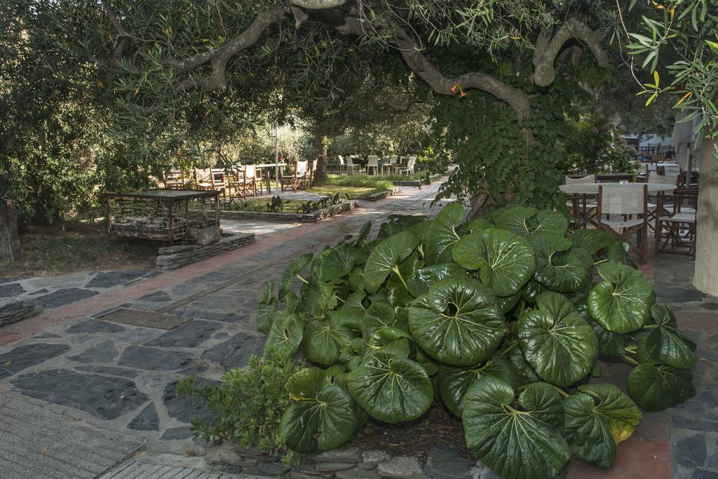 Hotel Cala Joncols ロザス エクステリア 写真